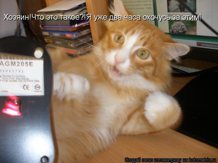 Хозяин!Что это такое?!Я уже два часа охочусь за этим!... Котоматрица: Хозяин!Что это такое?!Я уже два часа охочусь за этим!
