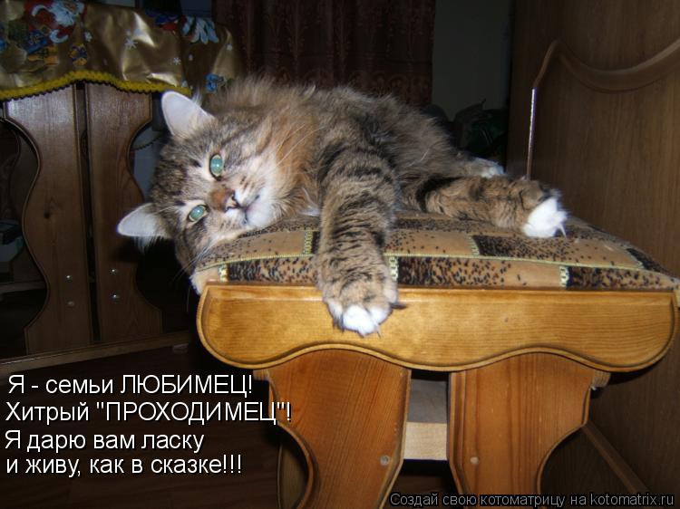 Я - семьи ЛЮБИМЕЦ! Хитрый "ПРОХОДИМЕЦ"! Я дарю вам ласку и живу, как в сказке!!!... Котоматрица: Я - семьи ЛЮБИМЕЦ! Хитрый "ПРОХОДИМЕЦ"! Я дарю вам ласку и живу, как в сказке!!!