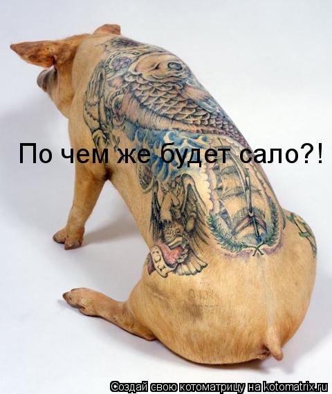 По чем же будет сало?!... Котоматрица: По чем же будет сало?!