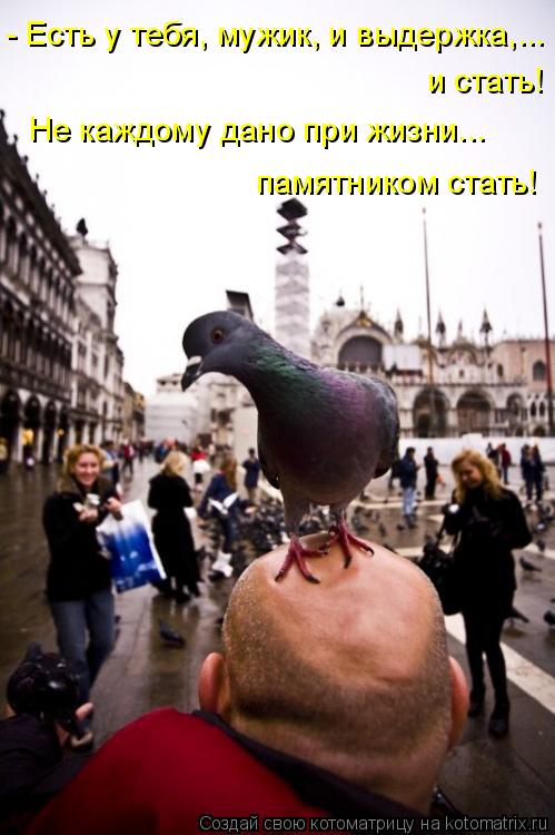 - Есть у тебя, мужик, и выдержка,... и стать! Не каждому дано при жизни... памятником стать!... Котоматрица: - Есть у тебя, мужик, и выдержка,... и стать! Не каждому дано при жизни... памятником стать!