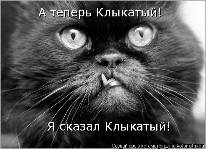 А теперь Клыкатый! Я сказал Клыкатый!... Котоматрица: А теперь Клыкатый! Я сказал Клыкатый!