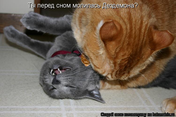 Ты перед сном молилась Дездемона?... Котоматрица: Ты перед сном молилась Дездемона?