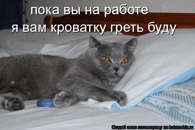 пока вы на работе я вам кроватку греть буду... Котоматрица: пока вы на работе я вам кроватку греть буду