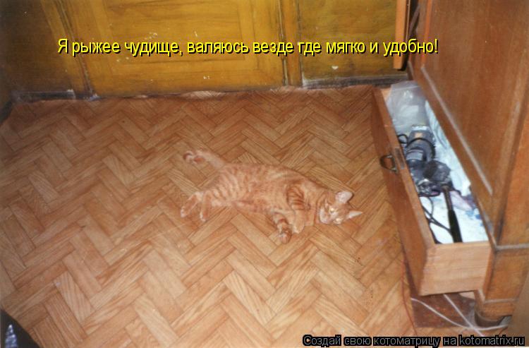 Я рыжее чудище, валяюсь везде где мягко и удобно!... Котоматрица: Я рыжее чудище, валяюсь везде где мягко и удобно!