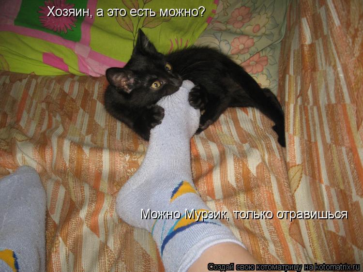 Хозяин, а это есть можно? Можно Мурзик, только отравишься... Котоматрица: Хозяин, а это есть можно? Можно Мурзик, только отравишься