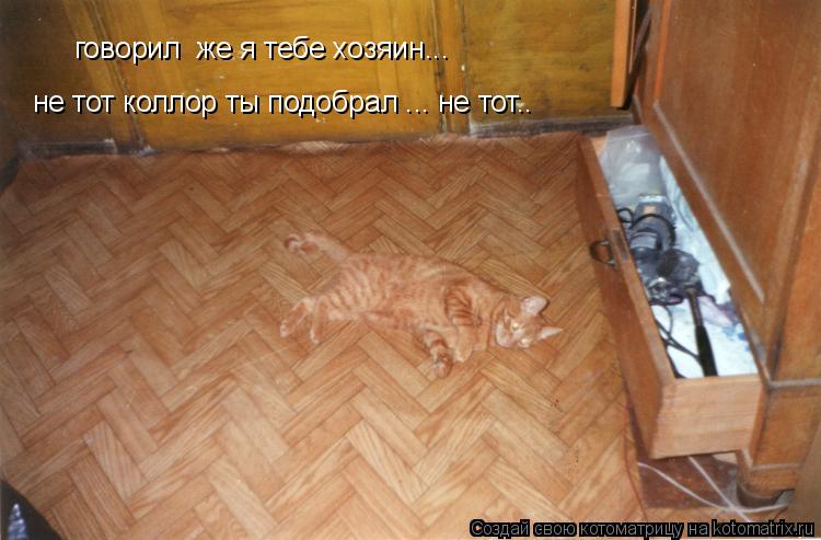 говорил же я тебе хозяин... не тот коллор ты подобрал ... не тот..... Котоматрица: говорил же я тебе хозяин... не тот коллор ты подобрал ... не тот..