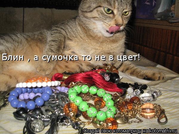 Блин , а сумочка то не в цвет!... Котоматрица: Блин , а сумочка то не в цвет!