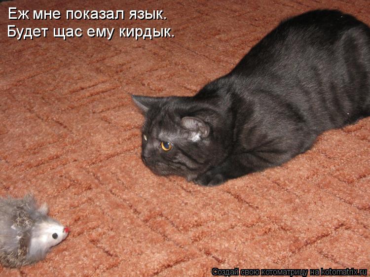 Еж мне показал язык. Будет щас ему кирдык.... Котоматрица: Еж мне показал язык. Будет щас ему кирдык.