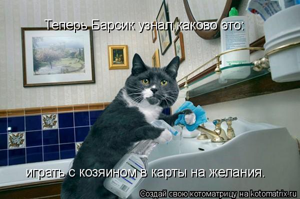 Теперь Барсик узнал,каково это: играть с козяином в карты на желания.... Котоматрица: Теперь Барсик узнал,каково это: играть с козяином в карты на желания.