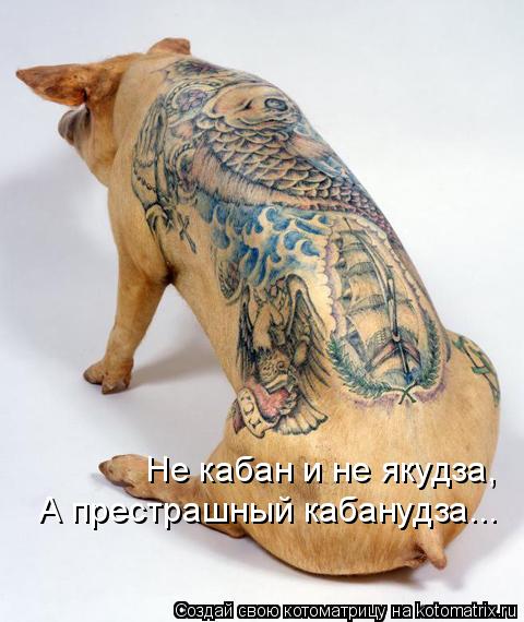 Не кабан и не якудза, А престрашный кабанудза...... Котоматрица: Не кабан и не якудза, А престрашный кабанудза...