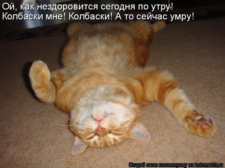 Ой, как нездоровится сегодня по утру! Колбаски мне! Колбаски! А то сейчас умру!... Котоматрица: Ой, как нездоровится сегодня по утру! Колбаски мне! Колбаски! А то сейчас умру!
