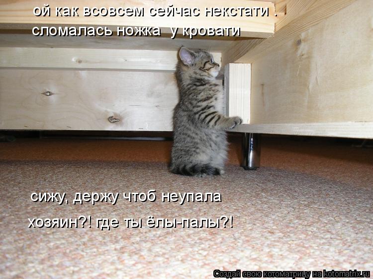 ой как всовсем сейчас некстати . сломалась ножка у кровати сижу, держу чтоб неупала хозяин?! где ты ... Котоматрица: ой как всовсем сейчас некстати . сломалась ножка у кровати сижу, держу чтоб неупала хозяин?! где ты ёлы-палы?!
