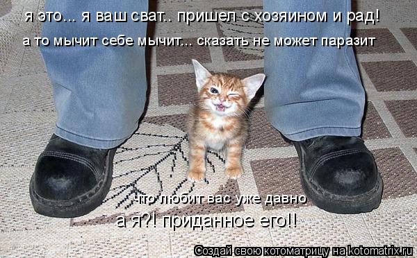 а то мычит себе мычит... сказать не может паразит что любит вас уже давно а я?! приданное его!! я это... Котоматрица: а то мычит себе мычит... сказать не может паразит что любит вас уже давно а я?! приданное его!! я это... я ваш сват.. пришел с хозяином и рад!