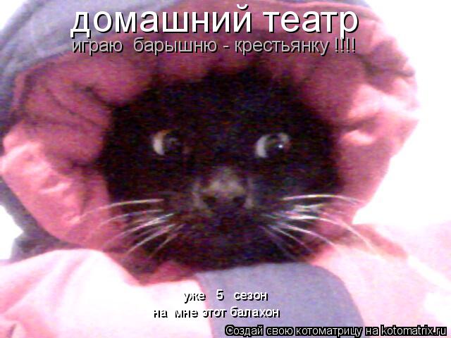 домашний театр играю барышню - крестьянку !!!! уже 5 сезон на мне этот балахон... Котоматрица: домашний театр играю барышню - крестьянку !!!! уже 5 сезон на мне этот балахон