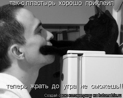 так-с,пластырь хорошо приклеил теперь жрать до утра не сможешь!!!!... Котоматрица: так-с,пластырь хорошо приклеил теперь жрать до утра не сможешь!!!!