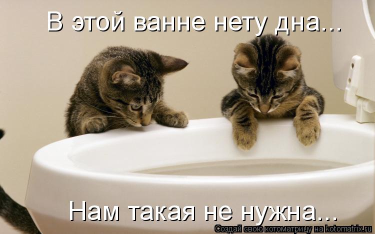 В этой ванне нету дна... Нам такая не нужна...... Котоматрица: В этой ванне нету дна... Нам такая не нужна...
