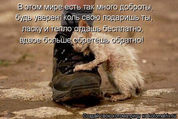 В этом мире есть так много доброты, будь уверен: коль свою подаришь ты, ласку и тепло отдашь бесплатн... Котоматрица: В этом мире есть так много доброты, будь уверен: коль свою подаришь ты, ласку и тепло отдашь бесплатно, вдвое больше обретёшь обратно!