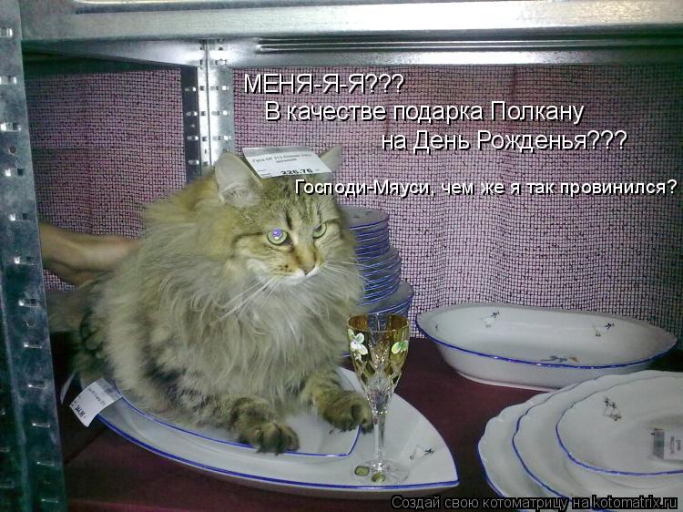 МЕНЯ-Я-Я??? В качестве подарка Полкану на День Рожденья??? Господи-Мяуси, чем же я так провинился?... Котоматрица: МЕНЯ-Я-Я??? В качестве подарка Полкану на День Рожденья??? Господи-Мяуси, чем же я так провинился?