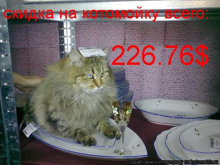 скидка на котомойку всего: 226.76$... Котоматрица: скидка на котомойку всего: 226.76$