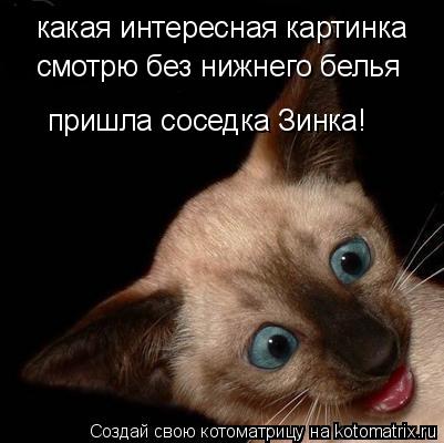 какая интересная картинка смотрю без нижнего белья пришла соседка Зинка!... Котоматрица: какая интересная картинка смотрю без нижнего белья пришла соседка Зинка!