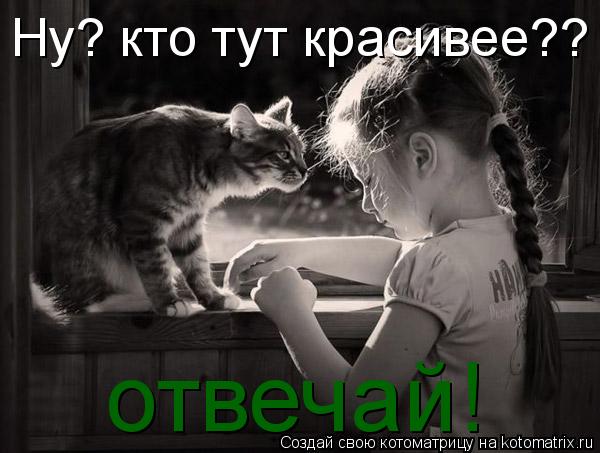 Ну? кто тут красивее?? отвечай!... Котоматрица: Ну? кто тут красивее?? отвечай!