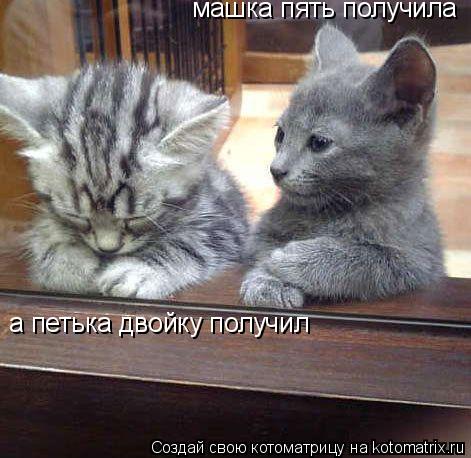 машка пять получила а петька двойку получил... Котоматрица: машка пять получила а петька двойку получил