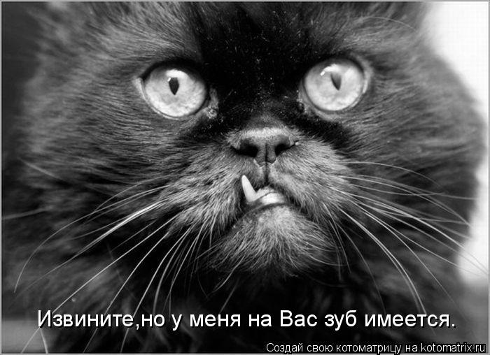 Извините,но у меня на Вас зуб имеется.... Котоматрица: Извините,но у меня на Вас зуб имеется.