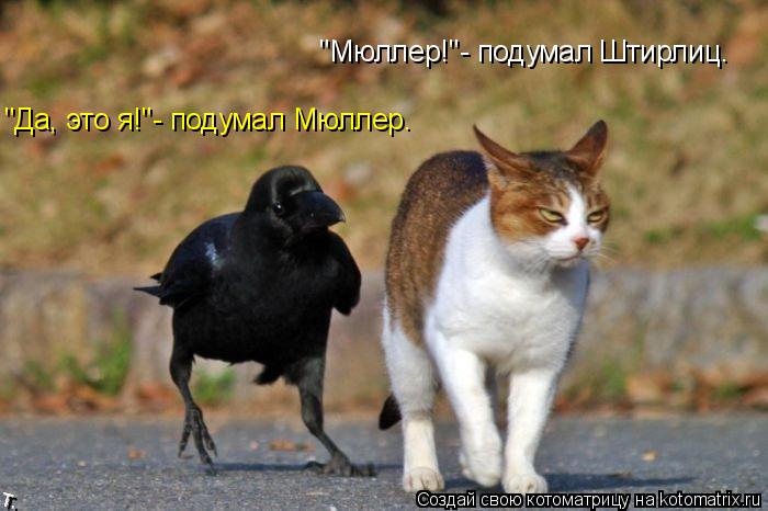 "Да, это я!"- подумал Мюллер. "Мюллер!"- подумал Штирлиц.... Котоматрица: "Да, это я!"- подумал Мюллер. "Мюллер!"- подумал Штирлиц.