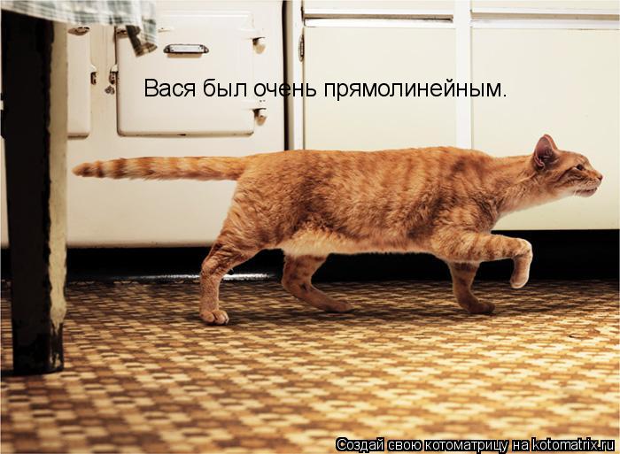 Вася был очень прямолинейным.... Котоматрица: Вася был очень прямолинейным.
