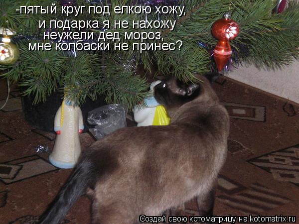 и подарка я не нахожу -пятый круг под елкою хожу, неужели дед мороз, мне колбаски не принес?... Котоматрица: и подарка я не нахожу -пятый круг под елкою хожу, неужели дед мороз, мне колбаски не принес?