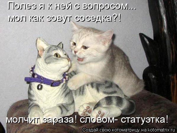 Полез я к ней с вопросом... мол как зовут соседка?! молчит зараза! словом- статуэтка!... Котоматрица: Полез я к ней с вопросом... мол как зовут соседка?! молчит зараза! словом- статуэтка!