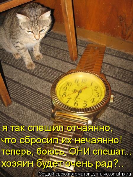 Котоматрица: что сбросил их нечаянно! я так спешил отчаянно, хозяин будет очень рад?.. теперь, боюсь, ОНИ спешат...