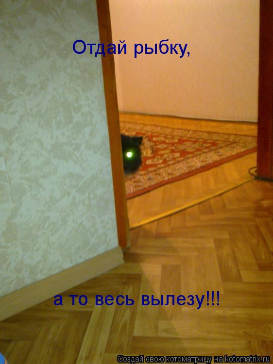 Отдай рыбку, а то весь вылезу!!!... Котоматрица: Отдай рыбку, а то весь вылезу!!!