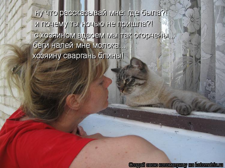 ну что рассказывай мне: где была?! и почему ты ночью не пришла?! с хозяином вдвоем мы так огорчены...... Котоматрица: ну что рассказывай мне: где была?! и почему ты ночью не пришла?! с хозяином вдвоем мы так огорчены... беги налей мне молока... хозяину сваргань б