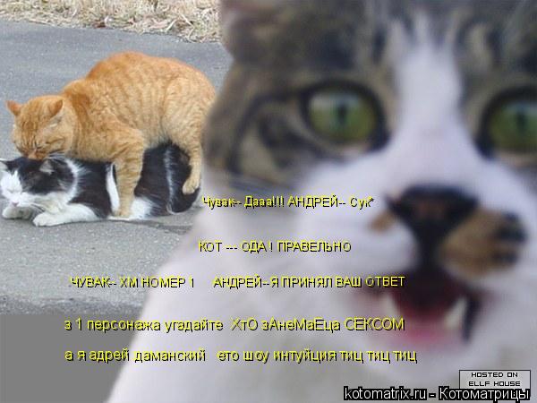 а я адрей даманский ето шоу интуйция тиц тиц тиц з 1 персонажа угадайте ХтО зАнеМаЕца СЕКСОМ ЧУВА... Котоматрица: а я адрей даманский ето шоу интуйция тиц тиц тиц з 1 персонажа угадайте ХтО зАнеМаЕца СЕКСОМ ЧУВАК-- ХМ НОМЕР 1 АНДРЕЙ--Я ПРИНЯЛ ВАШ ОТВЕТ