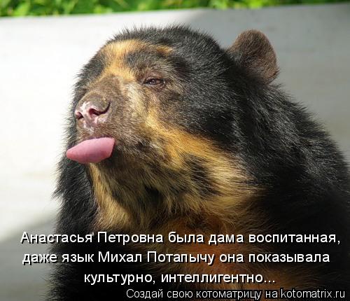 Анастасья Петровна была дама воспитанная, даже язык Михал Потапычу она показывала культурно, интеллиг... Котоматрица: Анастасья Петровна была дама воспитанная, даже язык Михал Потапычу она показывала культурно, интеллигентно...