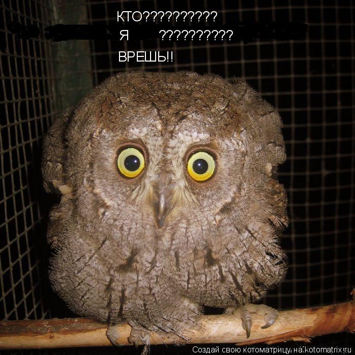 КТО?????????? Я ?????????? ВРЕШЬ!!... Котоматрица: КТО?????????? Я ?????????? ВРЕШЬ!!
