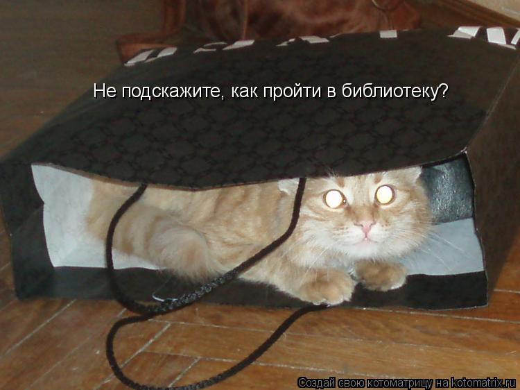 Не подскажите, как пройти в библиотеку?... Котоматрица: Не подскажите, как пройти в библиотеку?