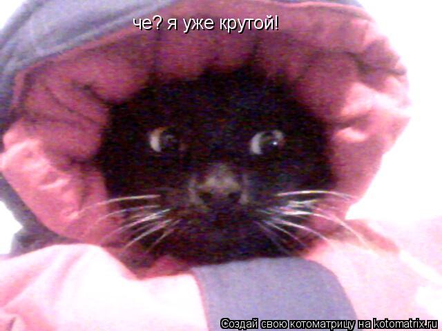 че? я уже крутой!... Котоматрица: че? я уже крутой!