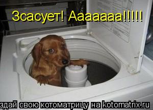 Зсасует! Ааааааа!!!!!... Котоматрица: Зсасует! Ааааааа!!!!!