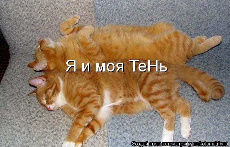Я и моя ТеНь... Котоматрица: Я и моя ТеНь