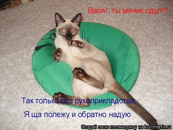 Вася!..ты мячик сдул?! Так только без рукоприкладства Так только без рукоприкладства, Я ща полежу и ... Котоматрица: Вася!..ты мячик сдул?! Так только без рукоприкладства Так только без рукоприкладства, Я ща полежу и обратно надую