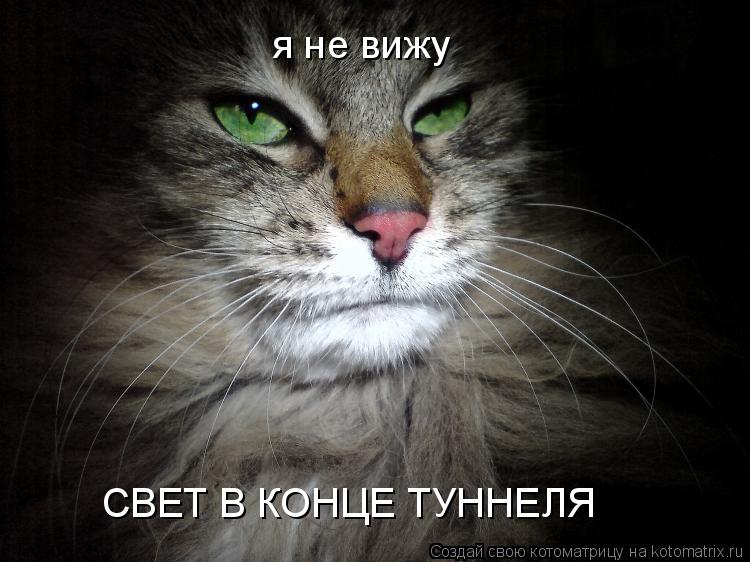 я не вижу СВЕТ В КОНЦЕ ТУННЕЛЯ... Котоматрица: я не вижу СВЕТ В КОНЦЕ ТУННЕЛЯ
