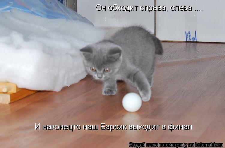 Он обходит справа, слева .... И наконецто наш Барсик выходит в финал... Котоматрица: Он обходит справа, слева .... И наконецто наш Барсик выходит в финал