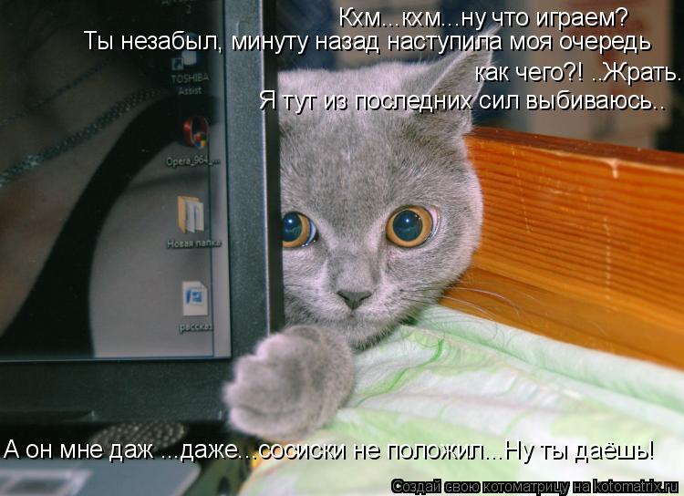 Кхм...кхм...ну что играем? Ты незабыл, минуту назад наступила моя очередь как чего?! ..Жрать.. Я тут ... Котоматрица: Кхм...кхм...ну что играем? Ты незабыл, минуту назад наступила моя очередь как чего?! ..Жрать.. Я тут из последних сил выбиваюсь.. А он мне даж ...да