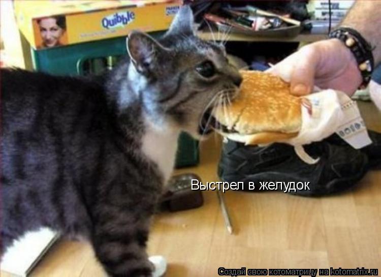 Выстрел в желудок... Котоматрица: Выстрел в желудок
