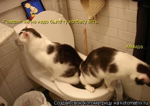 -Говорил же не надо было ту колбасу есть... -Мммда...... Котоматрица: -Говорил же не надо было ту колбасу есть... -Мммда...