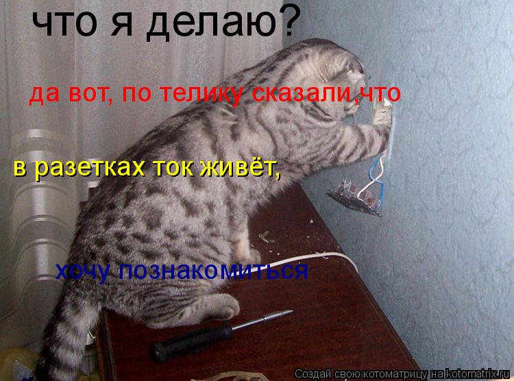 что я делаю? да вот, по телику сказали,что в разетках ток живёт, хочу познакомиться... Котоматрица: что я делаю? да вот, по телику сказали,что в разетках ток живёт, хочу познакомиться