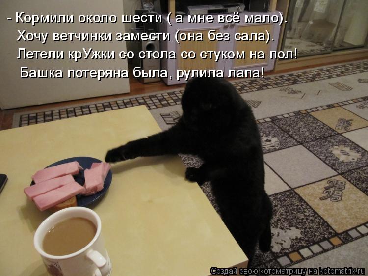 - Кормили около шести ( а мне всё мало). Хочу ветчинки замести (она без сала). Летели крУжки со стола... Котоматрица: - Кормили около шести ( а мне всё мало). Хочу ветчинки замести (она без сала). Летели крУжки со стола со стуком на пол! Башка потеряна была, рули