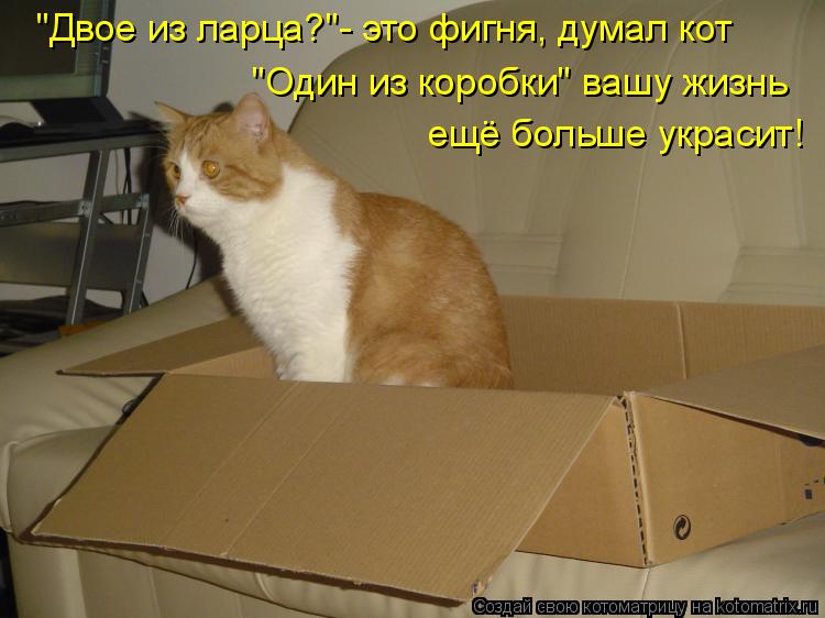 "Двое из ларца?"- это фигня, думал кот "Один из коробки" вашу жизнь ещё больше украсит!... Котоматрица: "Двое из ларца?"- это фигня, думал кот "Один из коробки" вашу жизнь ещё больше украсит!